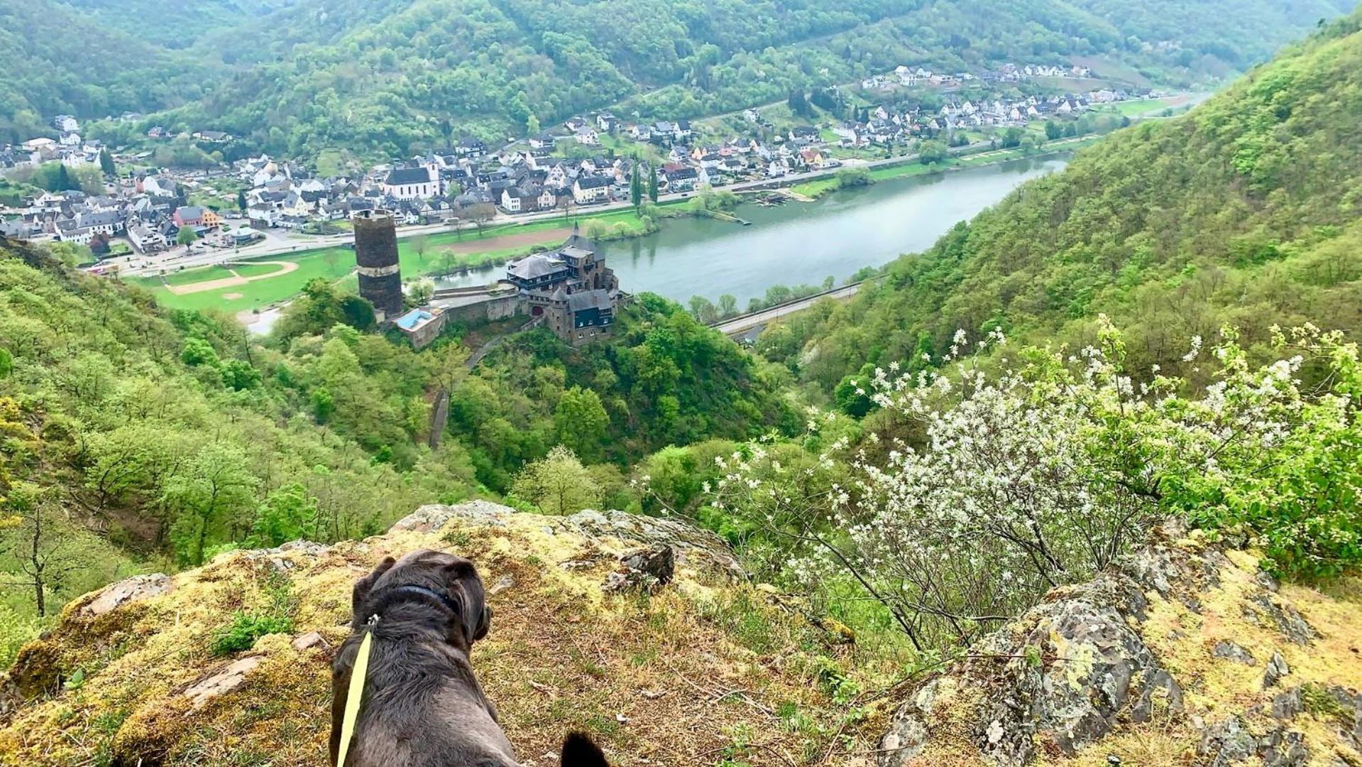 Chalet Lasserg Münstermaifeld エクステリア 写真